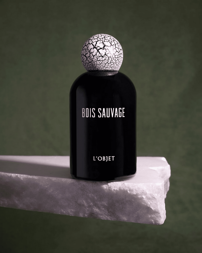 L’Objet – Bois Sauvage