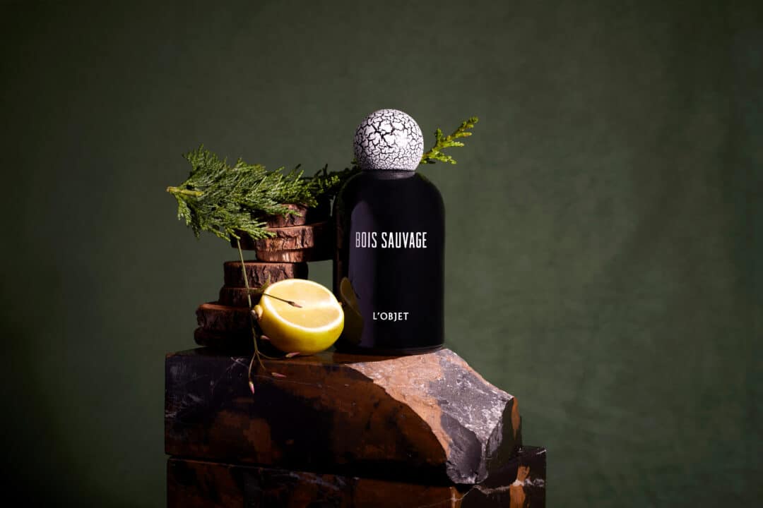 L’Objet – Bois Sauvage